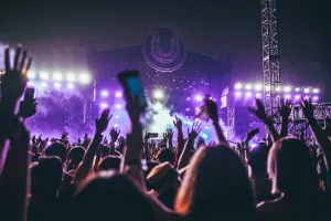 Crowd of people at a concert